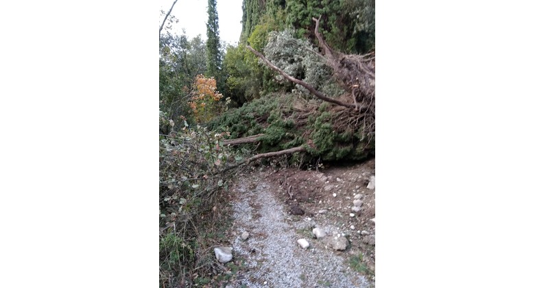 CONTINUA NEL LUPPIA BASSO - I CASTEI IL RIPRISTINO DEI SENTIERI BIKE-TREKKING